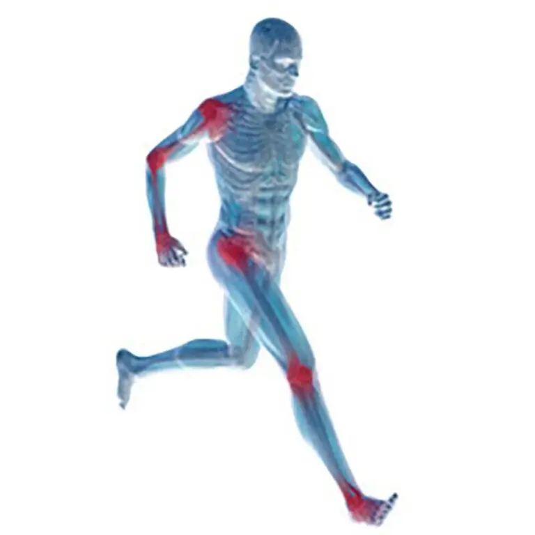 Lire la suite à propos de l’article Collagène Marin et Sport